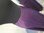 New Star Rock 5555 aubergine