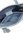 Tamaris Tasche 33786 blau
