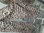 Cas Cara Hose 43013 leopard