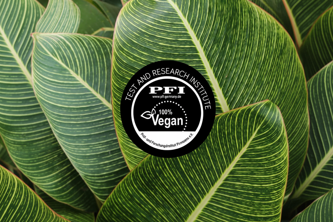 Unsere vegane Kollektion 🌿
